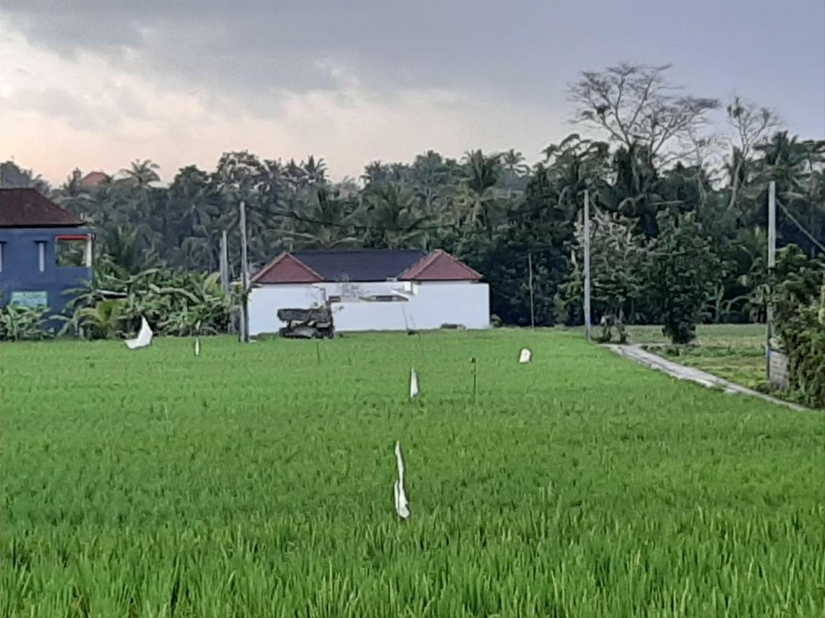 The Satya Villa Ubud Buitenkant foto